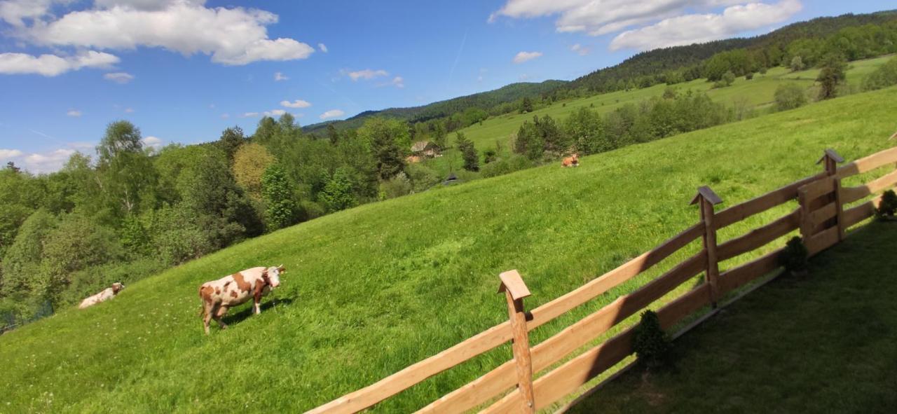 Goralskie Domki Na Podhalu - Z Jacuzzi Maniowy Luaran gambar