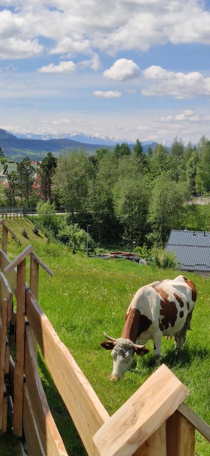 Goralskie Domki Na Podhalu - Z Jacuzzi Maniowy Luaran gambar